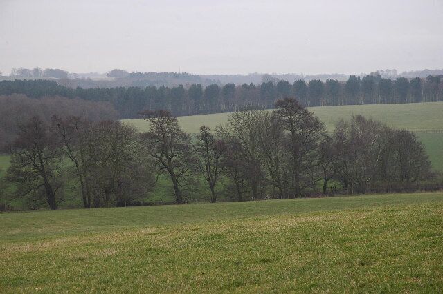 A rural landscape with a field, trees, and a distant tree line.
