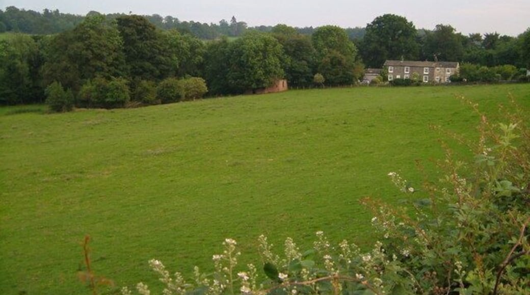 Crimple. Mill Cottages at Crimple seen across a field from Crimple Lane.