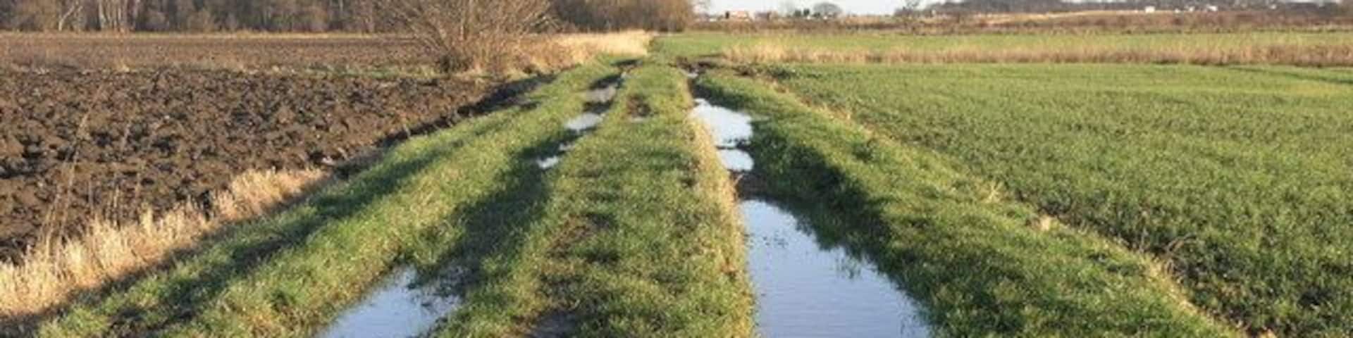 Wet Track This flooded track leads to fields which are by the side of the A1(M) which can be seen in the distance.