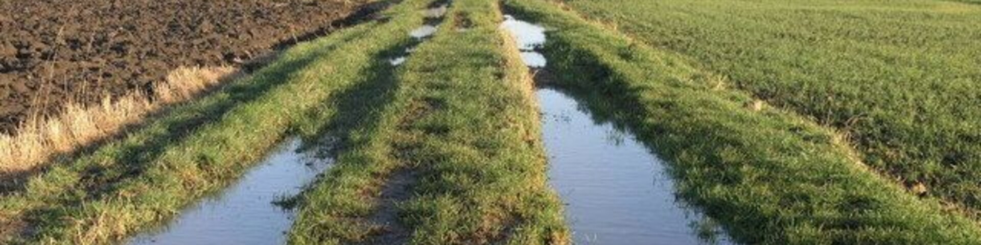 Wet Track This flooded track leads to fields which are by the side of the A1(M) which can be seen in the distance.