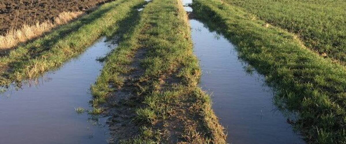 A rural landscape with a narrow water channel running through fields.