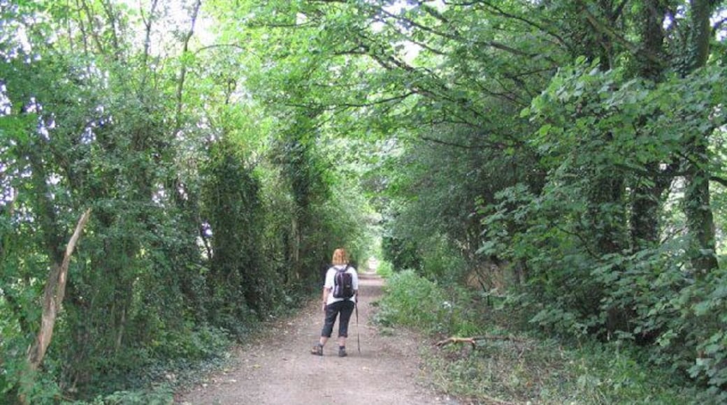 Swillington Park. The Leeds Country Way passes close to Swillington Park