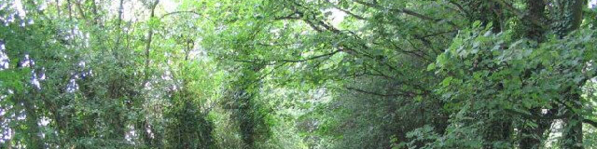Swillington Park. The Leeds Country Way passes close to Swillington Park