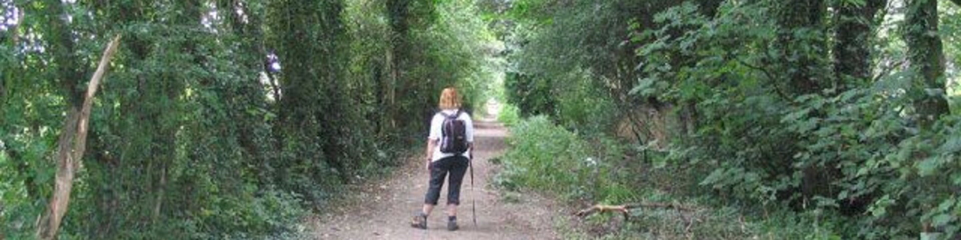 Swillington Park. The Leeds Country Way passes close to Swillington Park