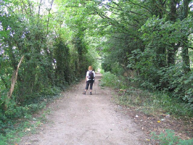 A person walking on a dirt path surrounded by dense green foliage.