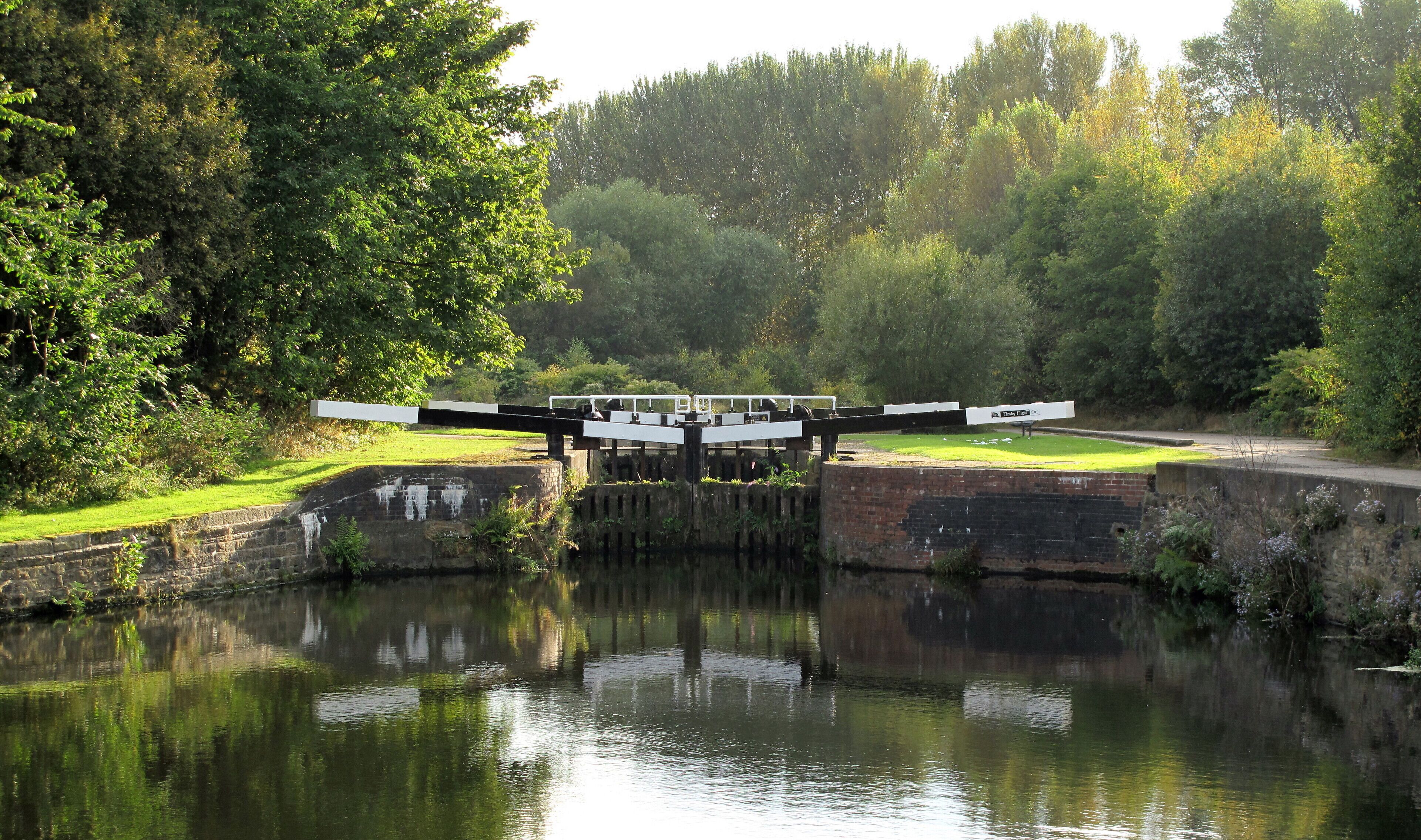 Lock gate Lock gates regularly get cleaned and the locks 'flushed' at Tinsley flight and all along this canal spur to Sheffield basin. Not much traffic along this spur so vegetation gets a better chance to settle and grow as shown on the lock gate here. Silt and debris can make the gates difficult to open or close. People on narrow boats might just appreciate a bit of help opening and closing these gates. Speaking for myself, I do.