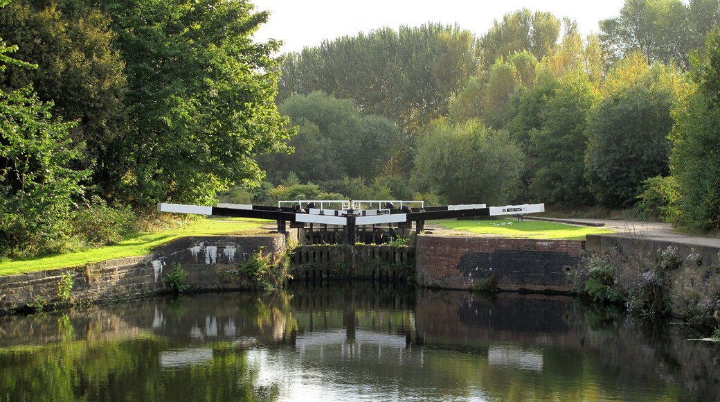 Lock gate Lock gates regularly get cleaned and the locks 'flushed' at Tinsley flight and all along this canal spur to Sheffield basin. Not much traffic along this spur so vegetation gets a better chance to settle and grow as shown on the lock gate here. Silt and debris can make the gates difficult to open or close. People on narrow boats might just appreciate a bit of help opening and closing these gates. Speaking for myself, I do.