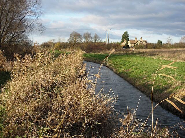 Little Wilbraham River This area of reedbed and rivers is next to the A1303 and just off the A14, creating a considerable contrast.