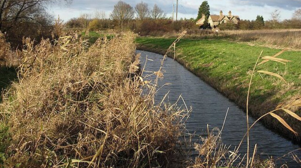 Little Wilbraham River This area of reedbed and rivers is next to the A1303 and just off the A14, creating a considerable contrast.