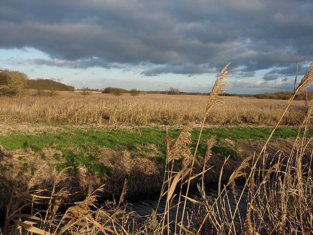 Teversham Fen