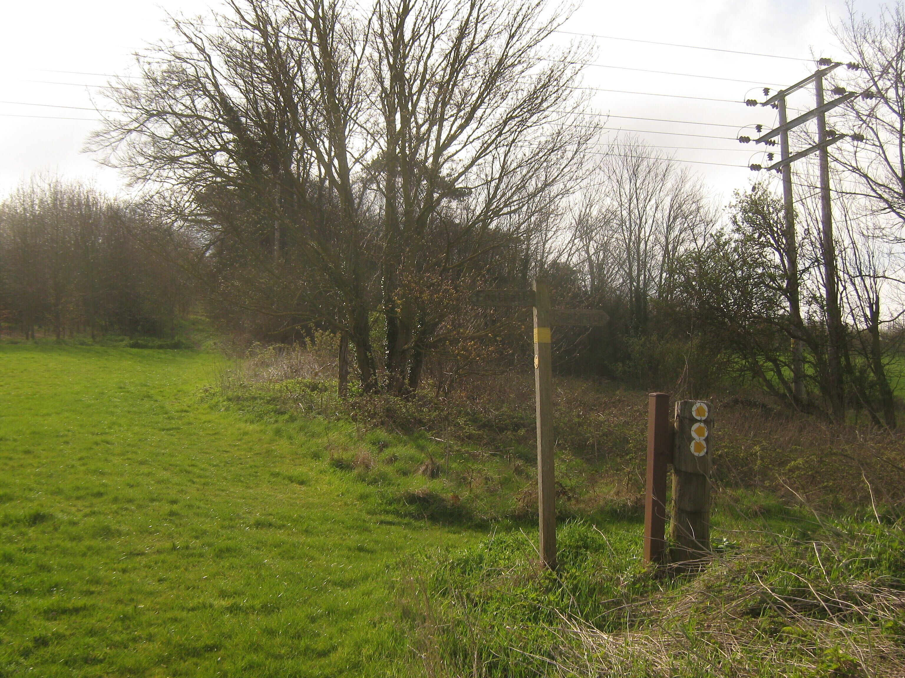 A rural landscape with a grassy field, leafless trees, and a wooden signpost with directional arrows.