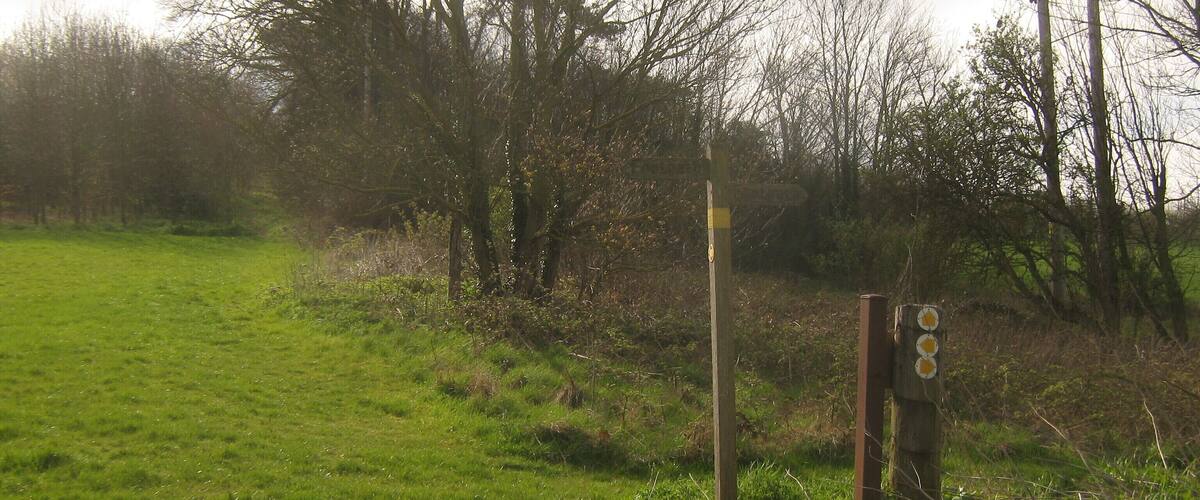 A rural landscape with a grassy field, leafless trees, and a wooden signpost with directional arrows.