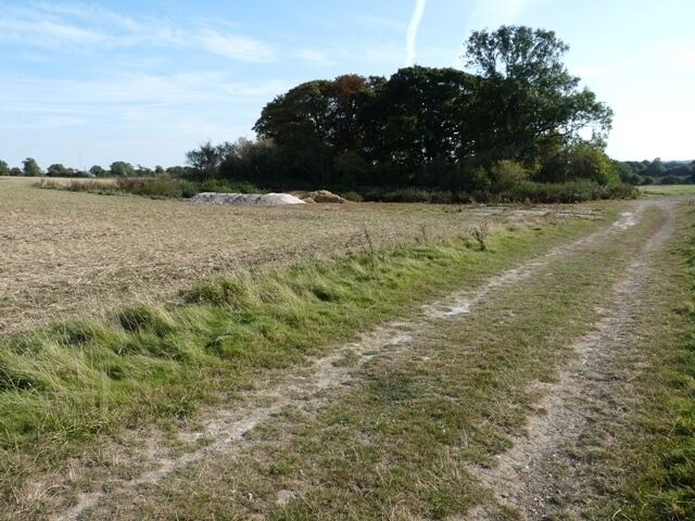 Disused chalk pit This small copse next to the footpath conceals a disused chalk pit.