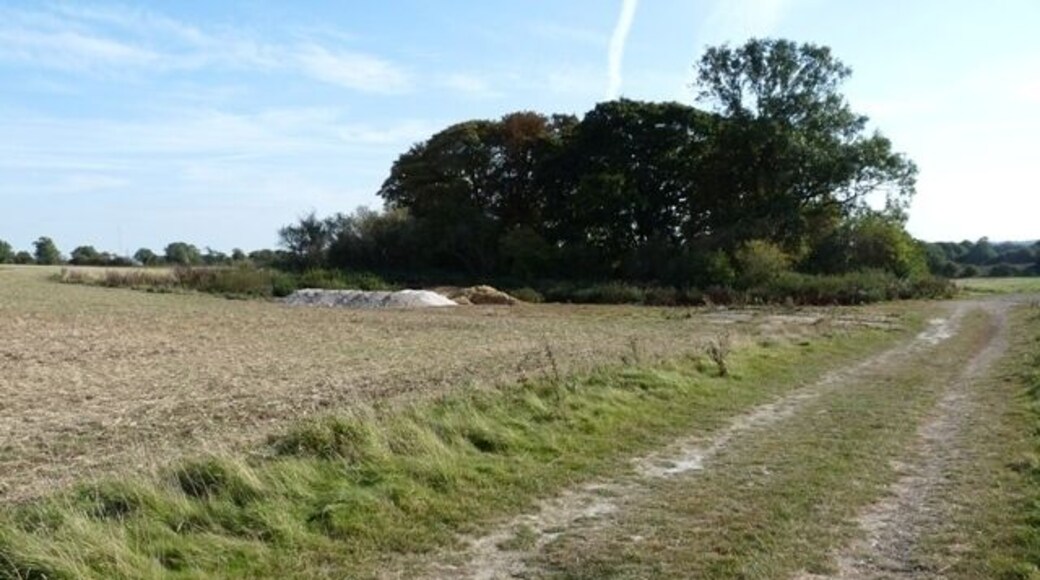 Disused chalk pit This small copse next to the footpath conceals a disused chalk pit.