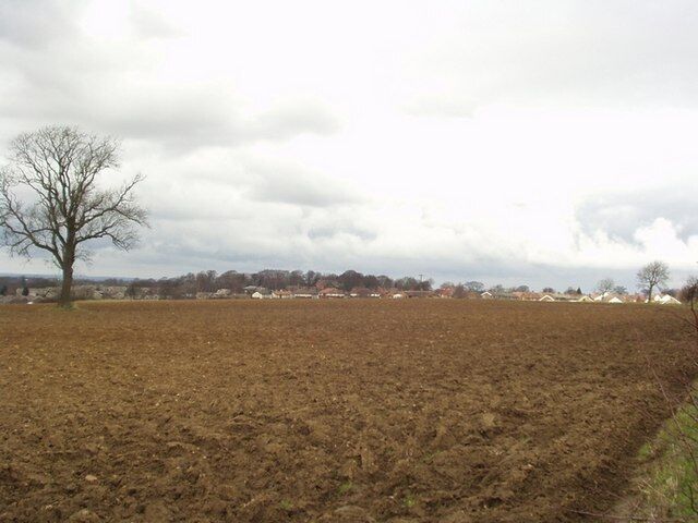 Field by Ellerker Lane, Thorner. Looking north-west from Ellerker lane across the fields to Thorner.