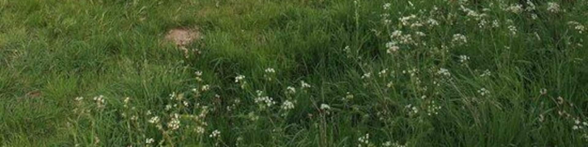 In case of emergency One of many lifebuoys around Thrybergh Reservoir.