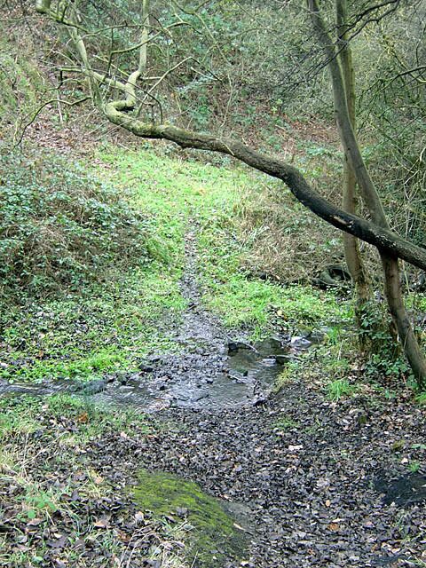 Stream and footpath An unofficial footpath crosses the little stream which runs down from Thrybergh towards the Corus Steelworks and into the River Don