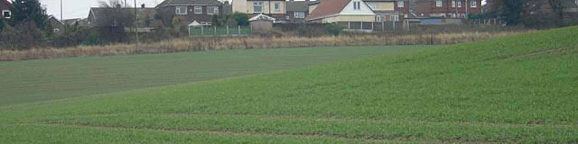 Houses on Doncaster Road, Thrybergh The cornfield provides a welcome buffer between the village and the nearby steelworks