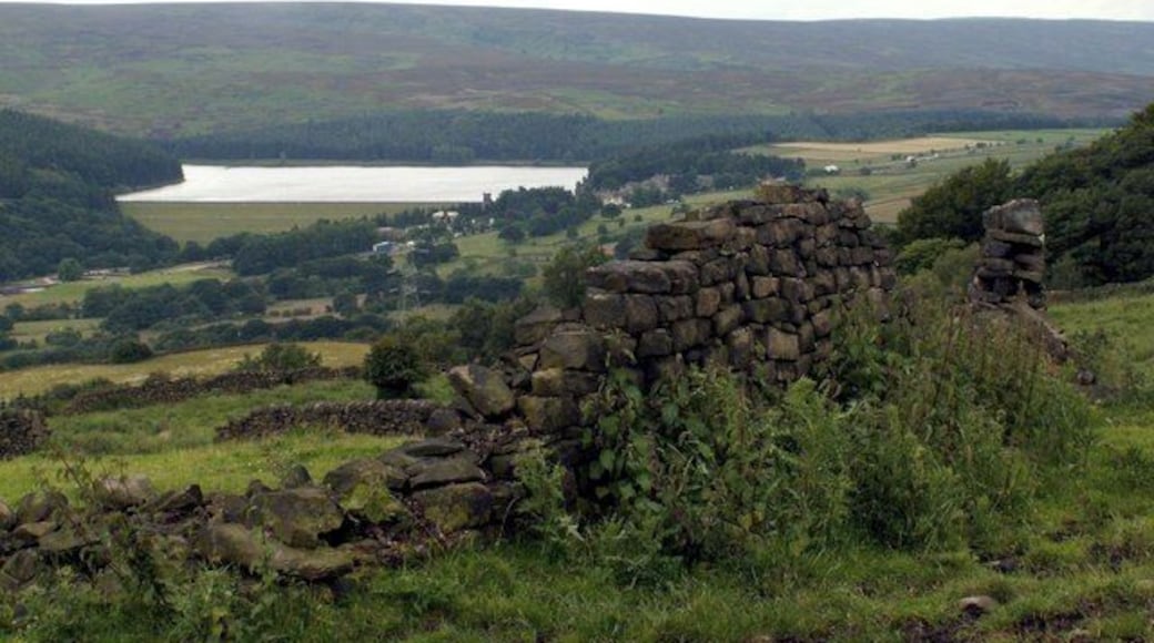 Old Boundary Wall from Hartcliff Hill Rd. Langsett Reservoir can be seen in photo.