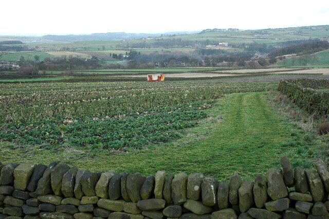 A rural landscape with stone walls, fields, and distant hills.