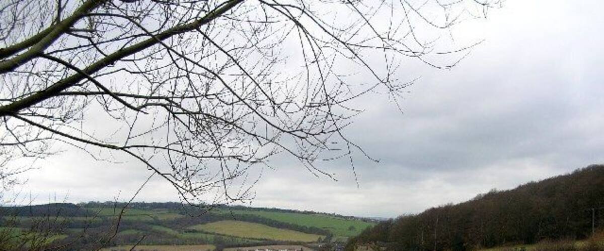 A rural landscape with rolling hills, a small town in the valley, and leafless trees.