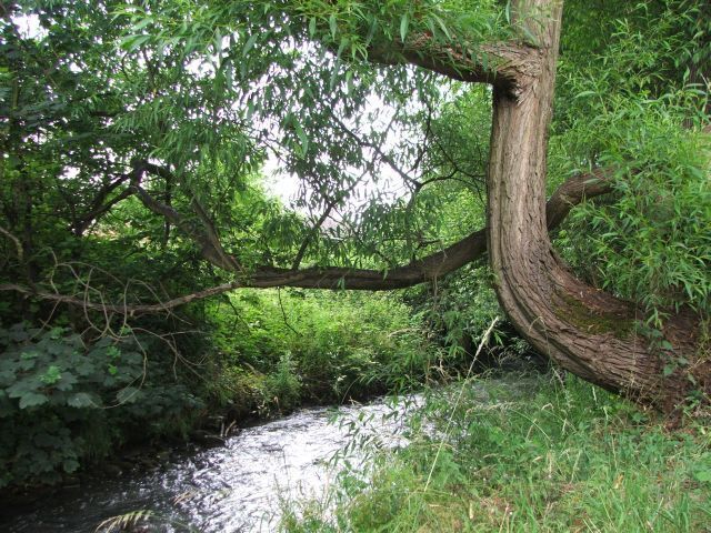 River Drone, near Unstone, Derbyshire. by Ramshaw Woods, Unstone