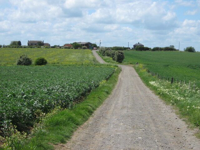 Track to Newhouse Farm This farm track is also used by a footpath leading through the farm to Harty Ferry Road from Bayview.