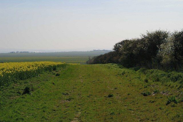 Not the Footpath to Harty Due to the absence of way marks and the new farming practice of leaving large field boundaries with a 1:50,000 map it is a 50/50 guess as to which side of the hedge the footpath lies. I got it wrong.