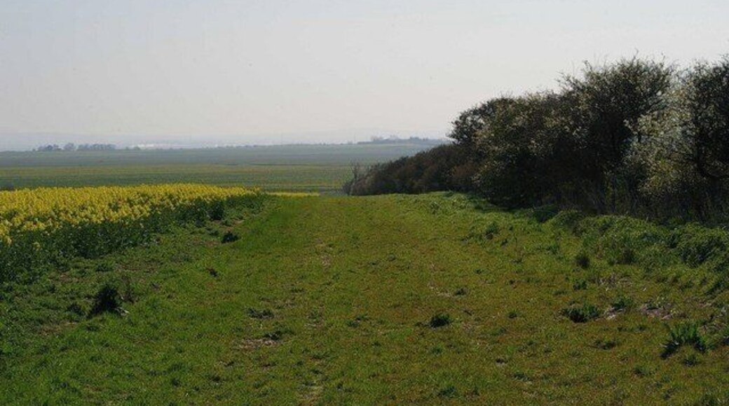 Not the Footpath to Harty Due to the absence of way marks and the new farming practice of leaving large field boundaries with a 1:50,000 map it is a 50/50 guess as to which side of the hedge the footpath lies. I got it wrong.