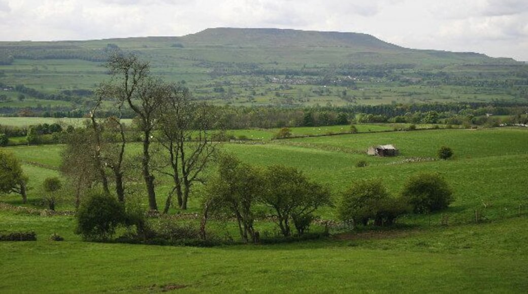 Farmland at the West end of the Leyburn Shawl. Where the footpath along the Leyburn Shawl drops down to cross the fields to Preston-under-Scar, this is the view across to Penhill