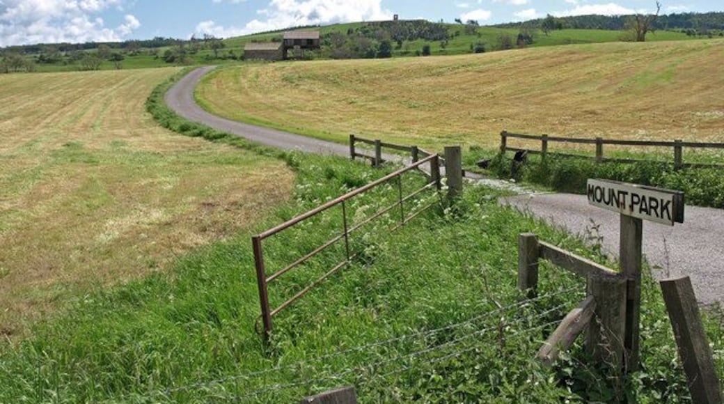 Mount Park farm road Showing the cattle grid adjacent to the A684.