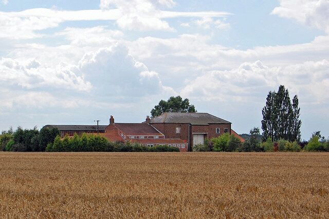 A rural house with a barn in a wheat field.