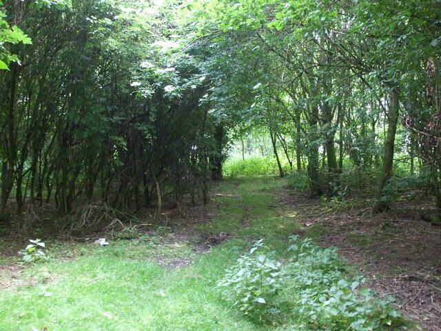 Ride in Stripe Close Plantation