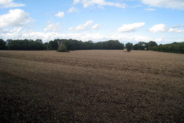 Field near Oakenpole Wood Recently harvested.