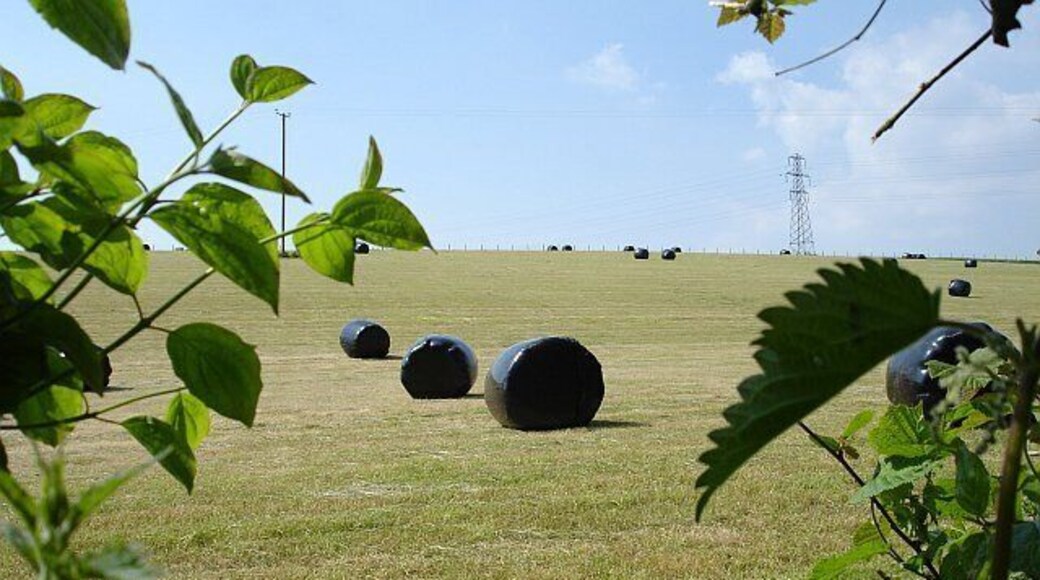 Silage making. Beside Old Lenham Road.