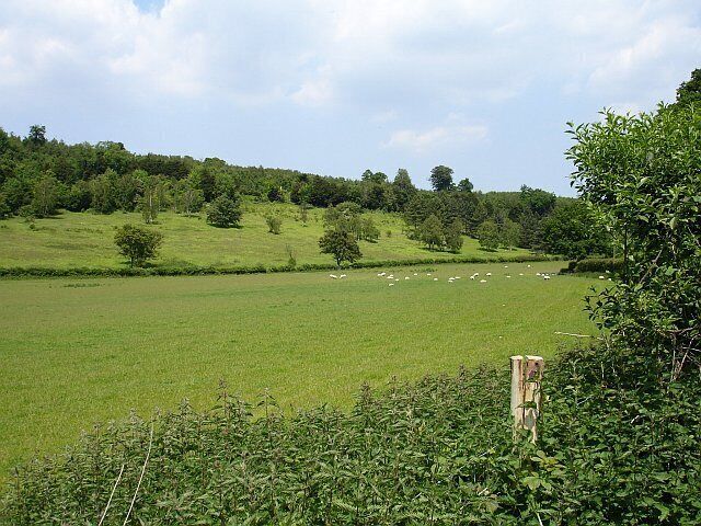 Meadow below Endings Wood. This is a continuation of the meadow 183656.