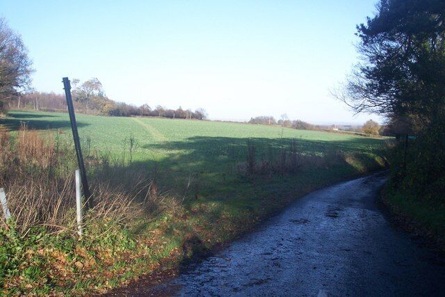 Footpath crosses Old Lenham Road A footpath heads left through the field towards Faversham Road, near Witchling Wood. Old Lenham Road leads to Wichling. Another footpath leads right to Willow Wood and Lone Barn Road.