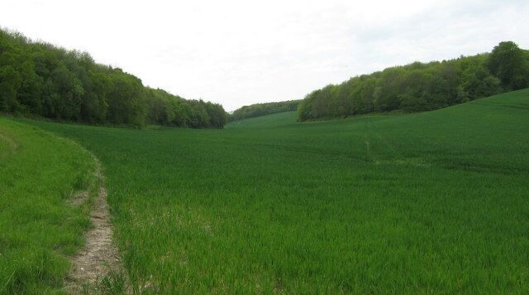 Valley between Woods On path from Old Lenham Road to Lone Barn Road. Wood on right is Willow Wood. Wood on left is Mountain Hurst.