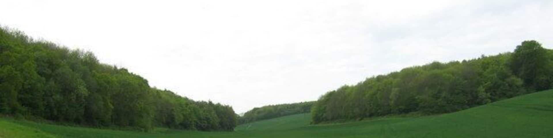 Valley between Woods On path from Old Lenham Road to Lone Barn Road. Wood on right is Willow Wood. Wood on left is Mountain Hurst.