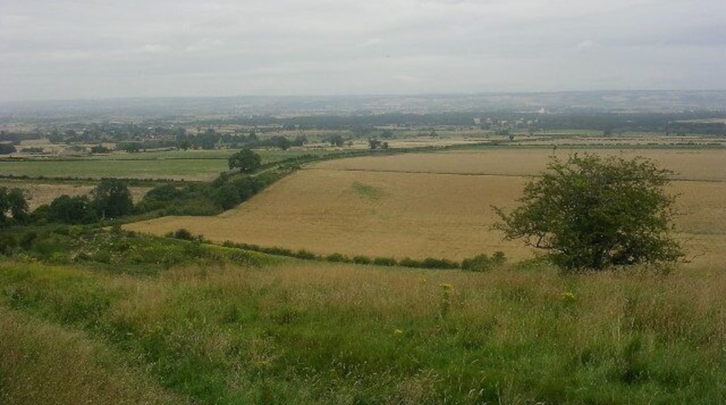 View from South Wold Plantation towards Wintringham. A fine viewpoint on the Wolds Way
