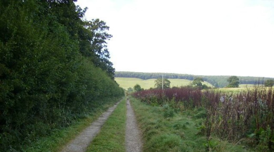 Track running alongside Becks Plantation