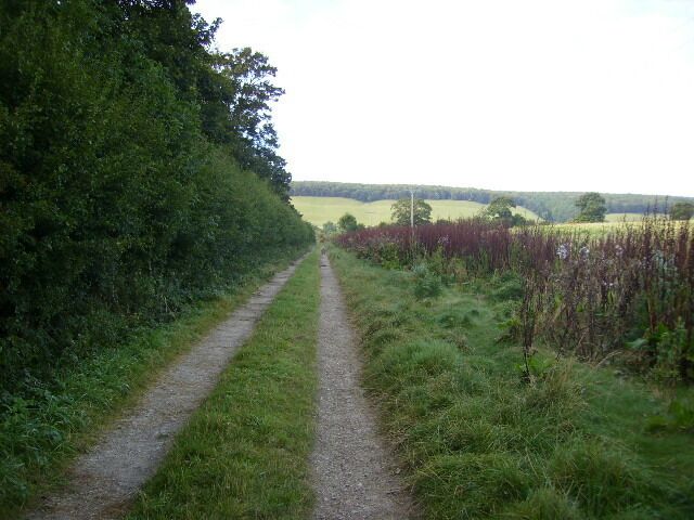 A narrow rural path flanked by dense hedgerows and fields.