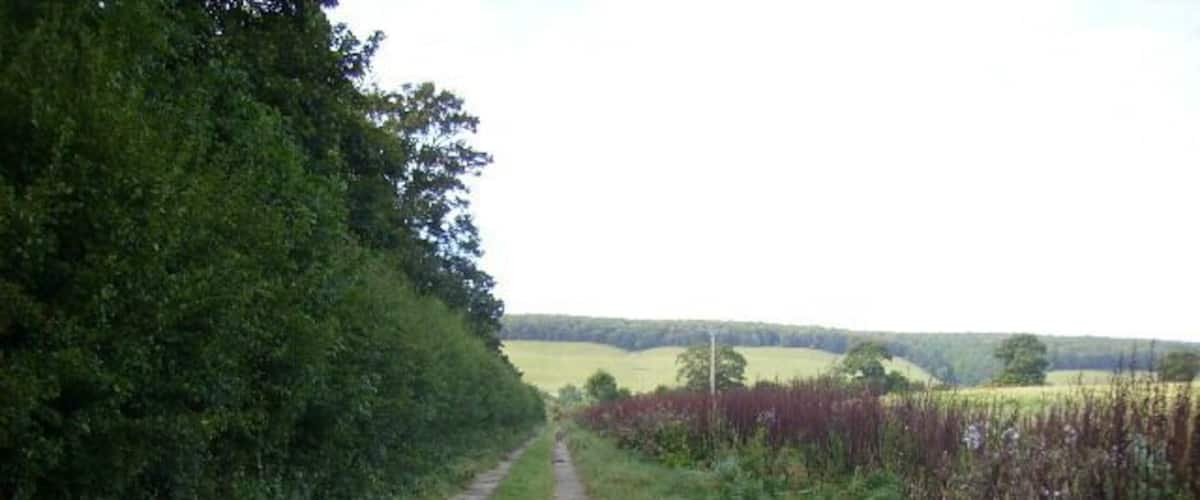 A narrow rural path flanked by dense hedgerows and fields.