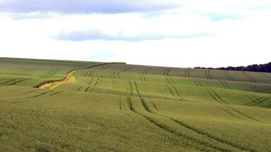 Tractor tracks in a Wolds' Field, near to Worlaby, North Lincolnshire, Great Britain.