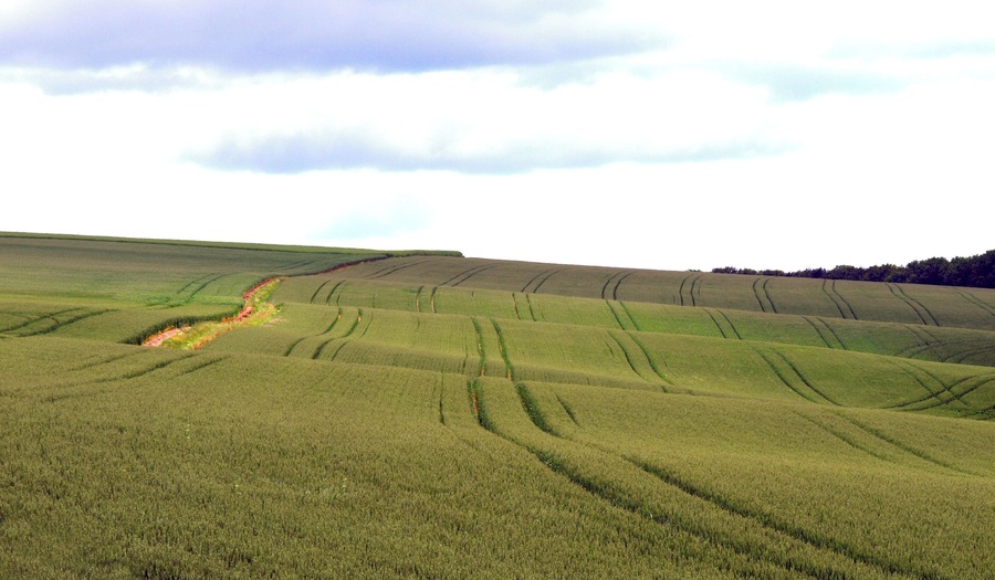 Tractor tracks in a Wolds' Field, near to Worlaby, North Lincolnshire, Great Britain.