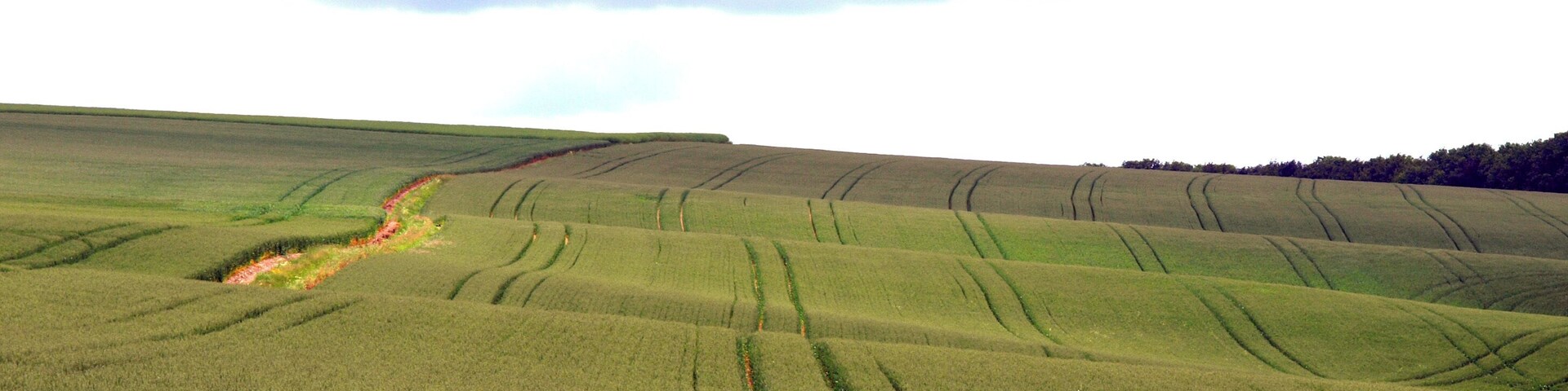 Tractor tracks in a Wolds' Field, near to Worlaby, North Lincolnshire, Great Britain.
