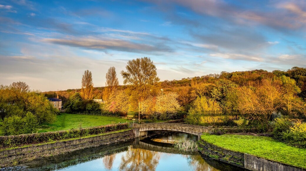 Another one taken from the bridge over the reservoir, taken during sunset, I believe there’s more compositions to be had here !
#bvsquad
#goldenhour
#bridges
#reservoirs
#sunset
#sping