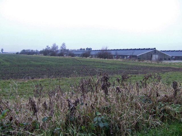 Poultry Farm At the end of Star Carr Lane, Wrawby.