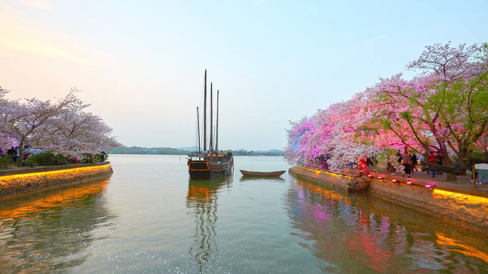 Night cherry blossoms and Taihu Lake sailboat at Yuantouzhu in Wuxi, China