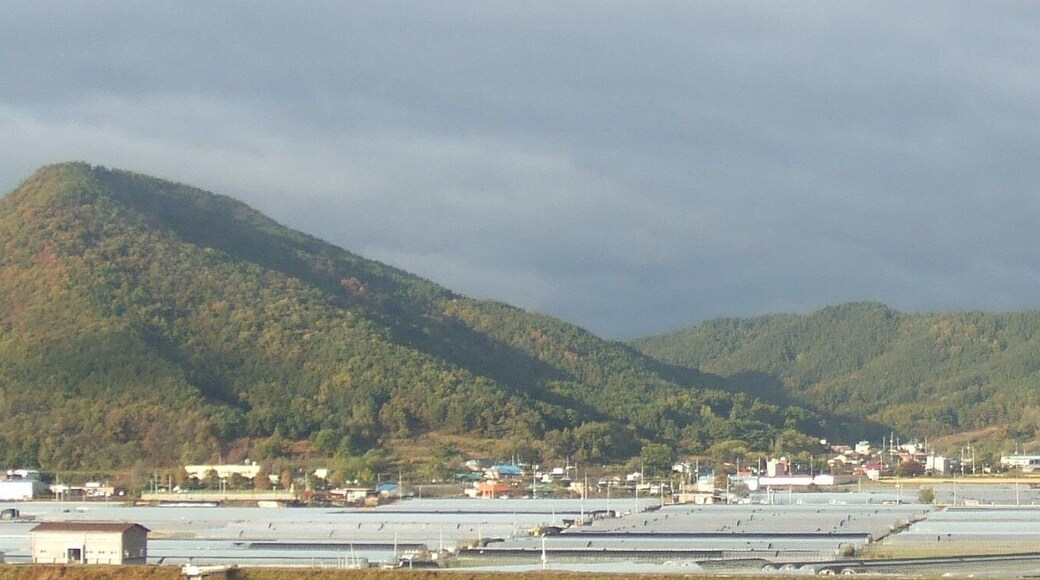 밝은고을(Bright village)